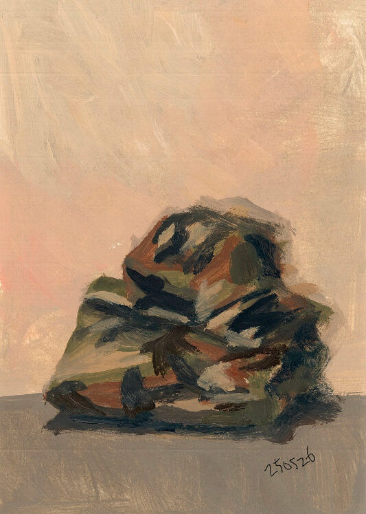 day11. 군복과 전투모