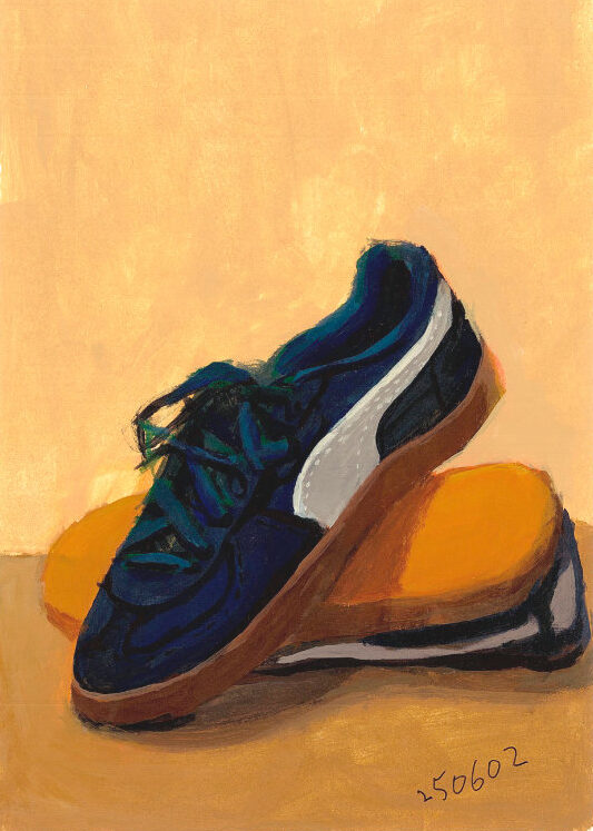 day16. 새로 산 운동화